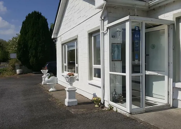 Divine Mercy Knock (Mayo)